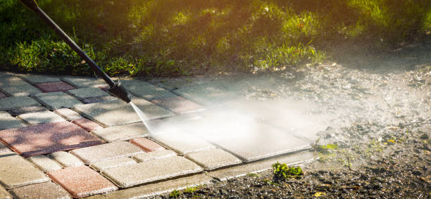 Best Patio and Deck Pressure Washing  in Elkins, WV